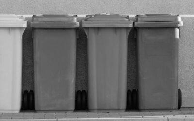 Des poubelles de différentes couleurs sont alignées sur un trottoir.